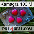 Kamagra 100 Ml 13